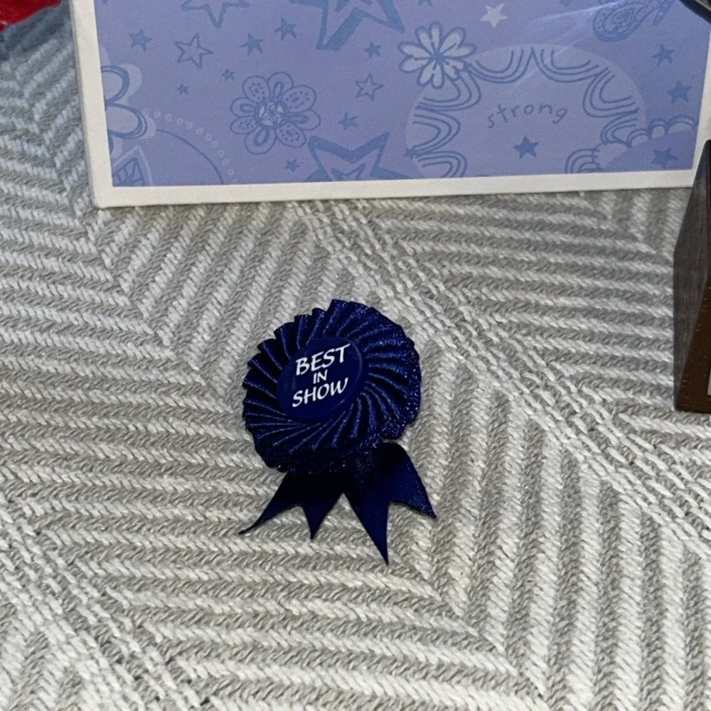 My American Girl Doll Pet Show Set trophy, flowers, ribbon, vase and Box A3